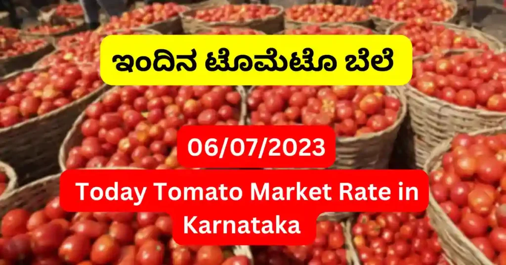 Tomato Rate Today in karnataka