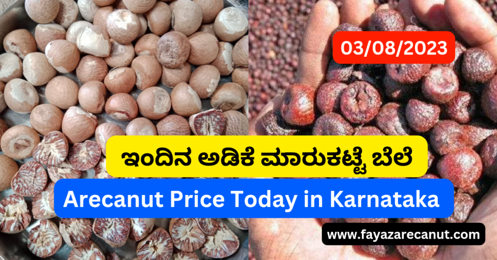 Areca Nut Price Today Agust 3