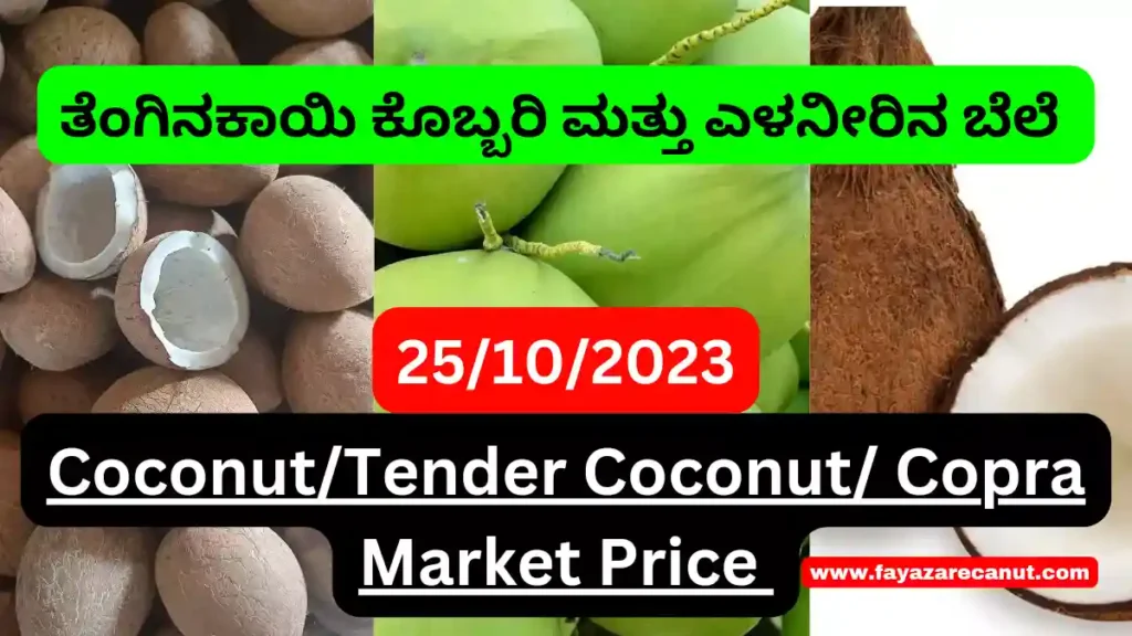 Coconut Copra Market Rate Today in karnataka