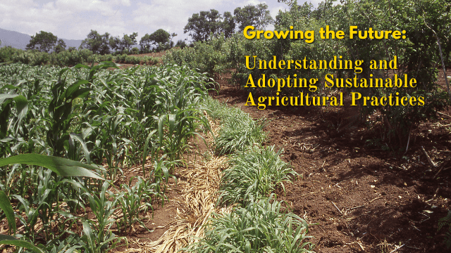 Growing the Future: Understanding and Adopting Sustainable Agricultural Practices/ಭವಿಷ್ಯವನ್ನು ಬೆಳೆಸುವುದು: ಸುಸ್ಥಿರ ಕೃಷಿ ಪದ್ಧತಿಗಳನ್ನು ಅರ್ಥಮಾಡಿಕೊಳ್ಳುವುದು ಮತ್ತು ಅಳವಡಿಸಿಕೊಳ್ಳುವುದು