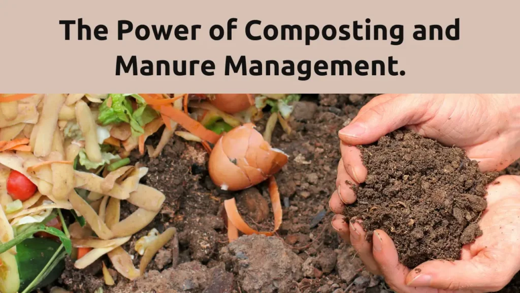 Unleashing the Power of Composting and Manure Management for Sustainable Living 4 Composting and Manure Management