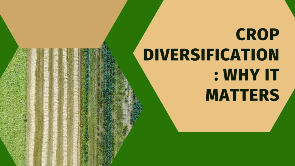 Unlocking Agricultural Potential: The Importance of Crop Diversification 1 Unlocking Agricultural Potential: The Importance of Crop Diversification