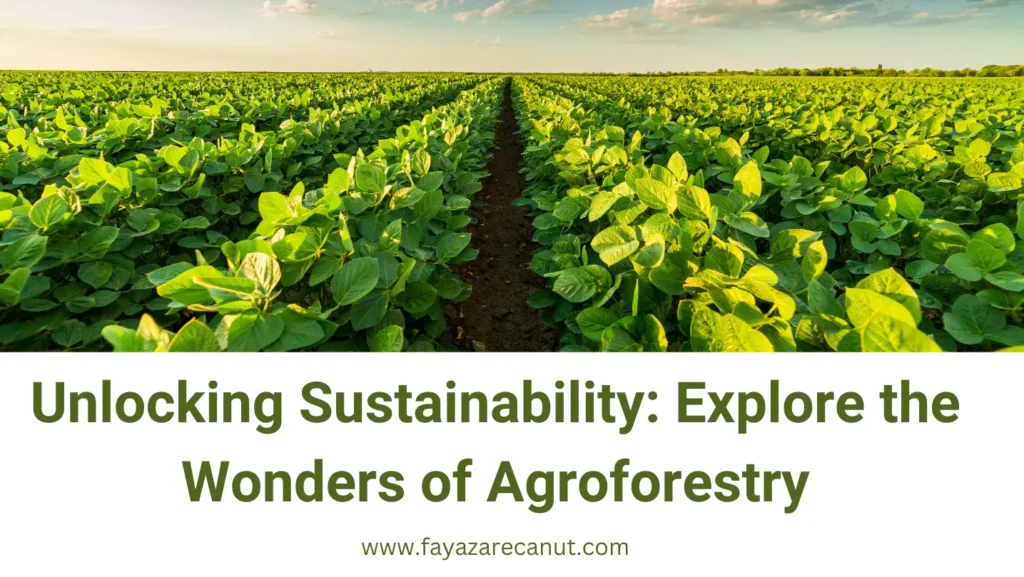 Unveiling the Green Revolution: Harnessing the Power of Agroforestry for Sustainable Growth 6 Unlocking Sustainability: Explore the Wonders of Agroforestry