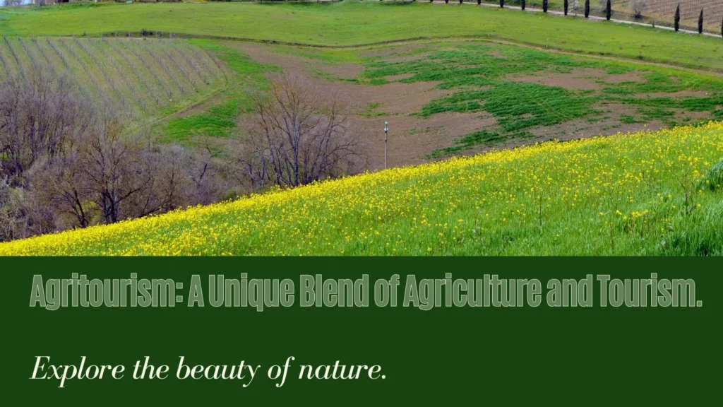Exploring the Beauty of Agritourism: A Unique Blend of Agriculture and Tourism 5 Exploring the Beauty of Agritourism: A Unique Blend of Agriculture and Tourism
