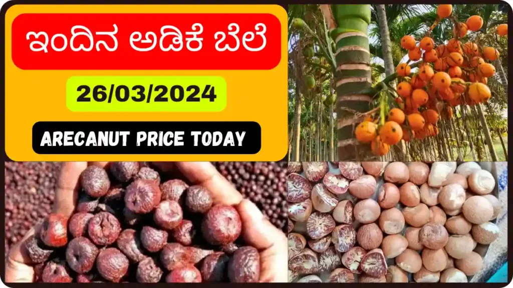 Adike Rate Today in Karnataka Mar 26