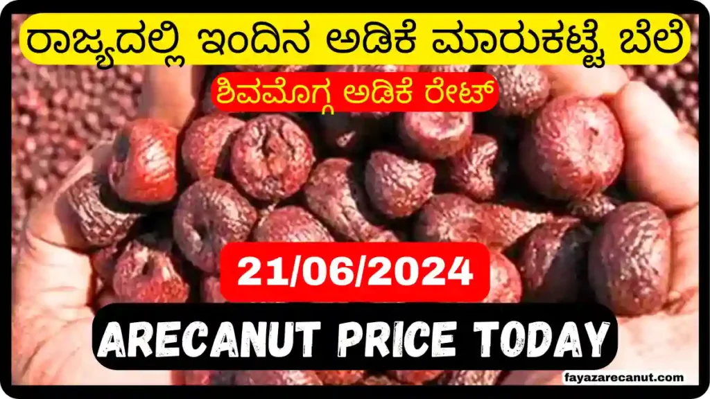 Adike Market Price Today in Shivamogga June 21