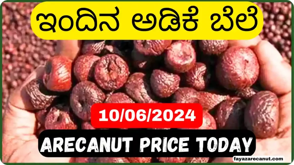 Adike Market Rate Today in Karnataka June 10