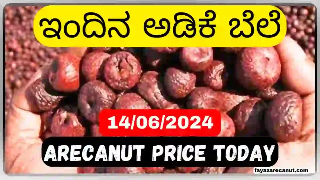Shivamogga Channagiri Adike Rate Today June 14 | ಇಂದಿನ ಶಿವಮೊಗ್ಗ ಅಡಿಕೆ ಮಾರುಕಟ್ಟೆ ಬೆಲೆ