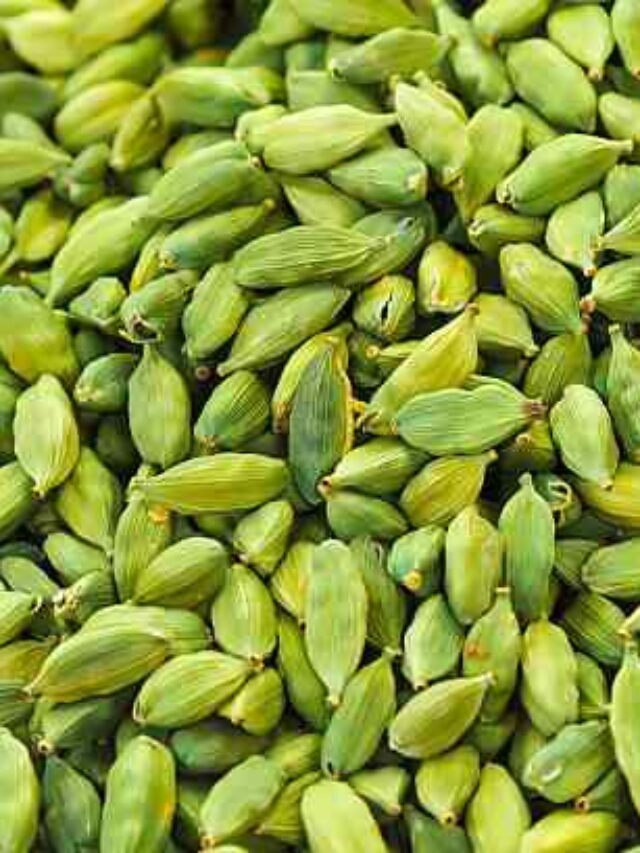 Cardamom Goldmine: Harvest Big Profits in the Lucrative Spice Market