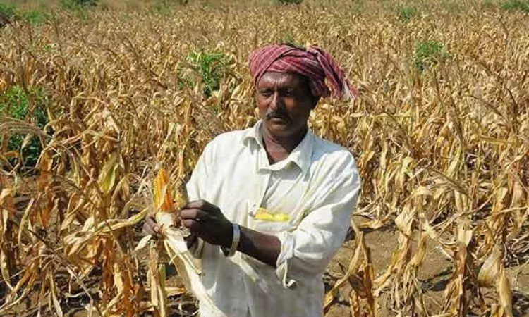 Crop Insurance Schemes for Karnataka Farmers Crop Insurance Schemes for Karnataka Farmers