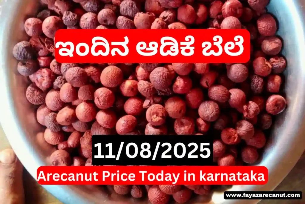 Arecanut Price Today 11 August 2025 | ಇಂದಿನ ಅಡಿಕೆ ದರ | Karnataka Market Rates Update 7 Arecanut Price Today 11 August 2025