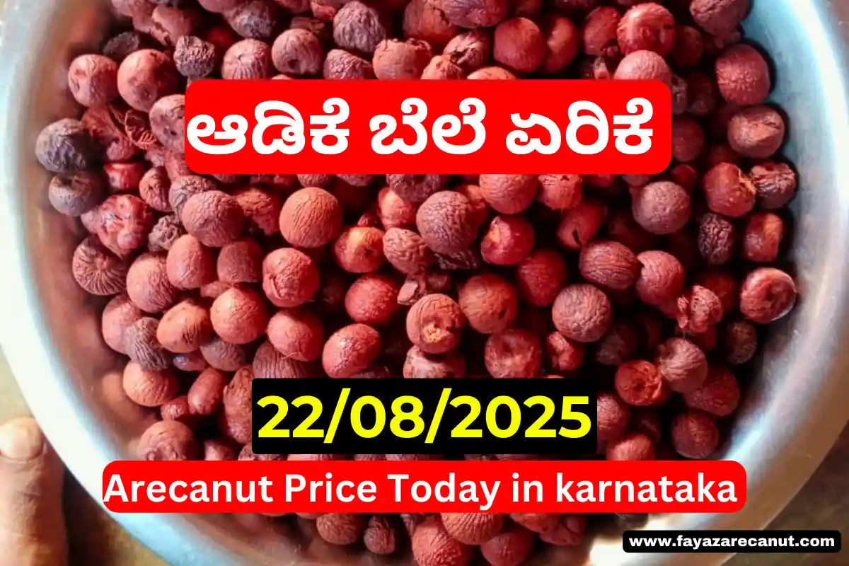 Arecanut Price Today 22 August 2025 | ಇಂದಿನ ಕರ್ನಾಟಕ ಅಡಿಕೆ ಮಾರುಕಟ್ಟೆ ದರ Arecanut Price Today 22 August 2025