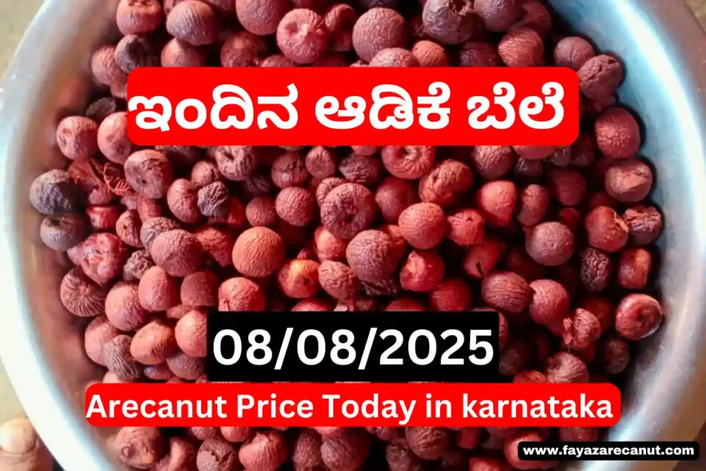 Arecanut Price Today in Karnataka | 8 August 2025 Supari Market Latest Tender Rates 8 Arecanut Price Today in Karnataka 8 August