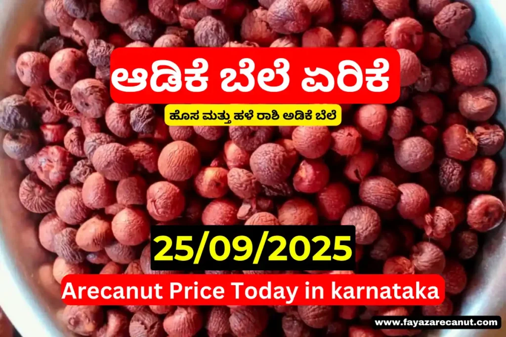 Arecanut Copra Price Today in Karnataka