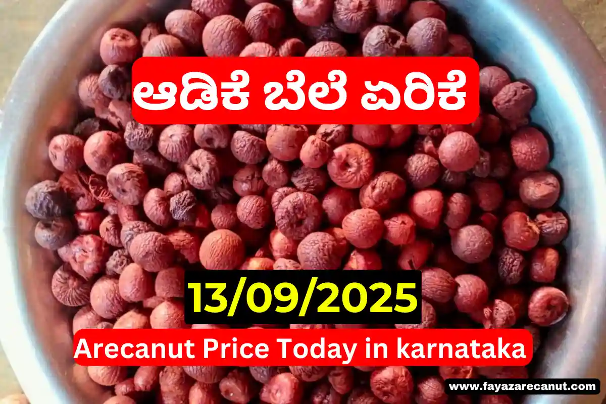 Arecanut Price Today 13 September 2025__
