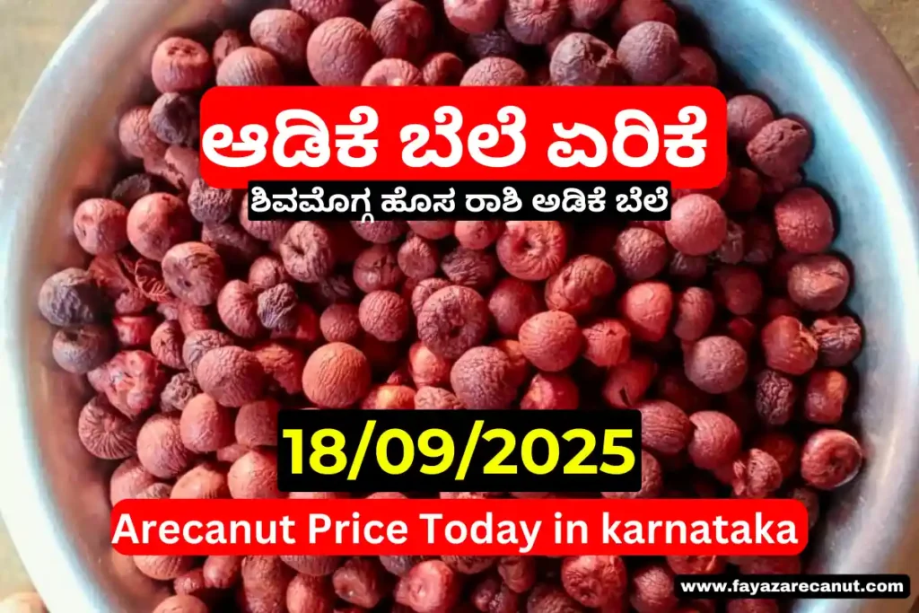 Arecanut Price Today 18 September 2025