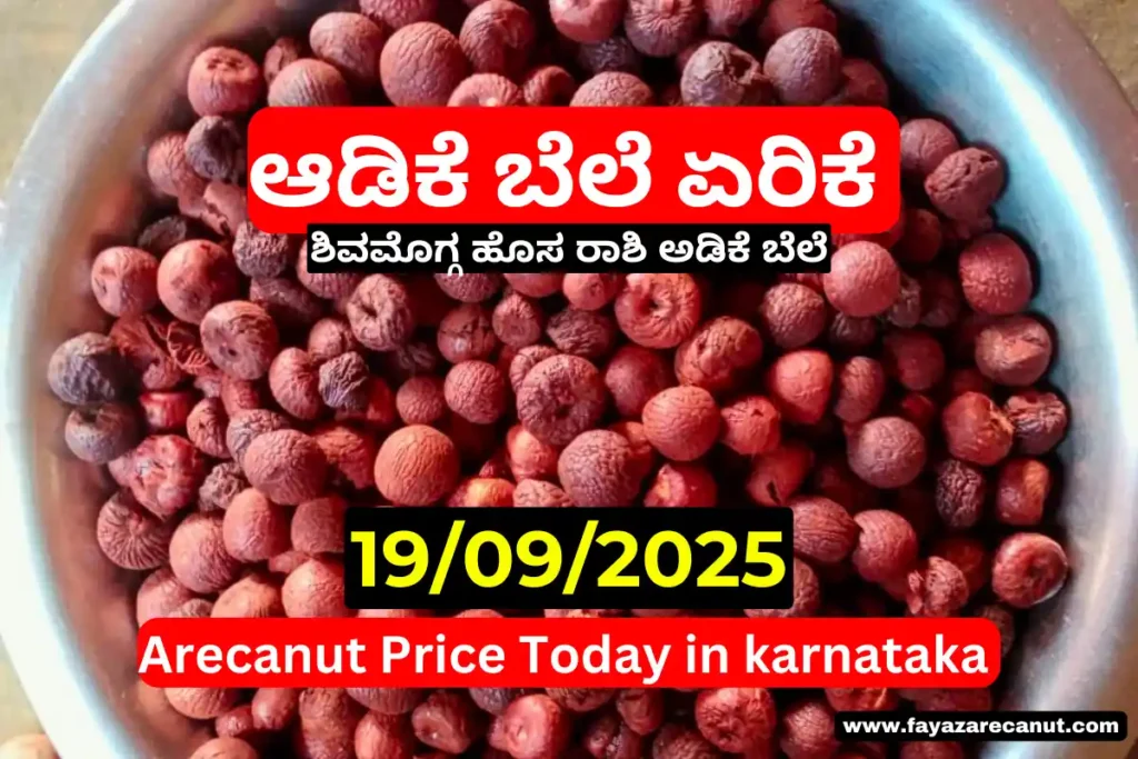 Arecanut Price Today 19 September 2025