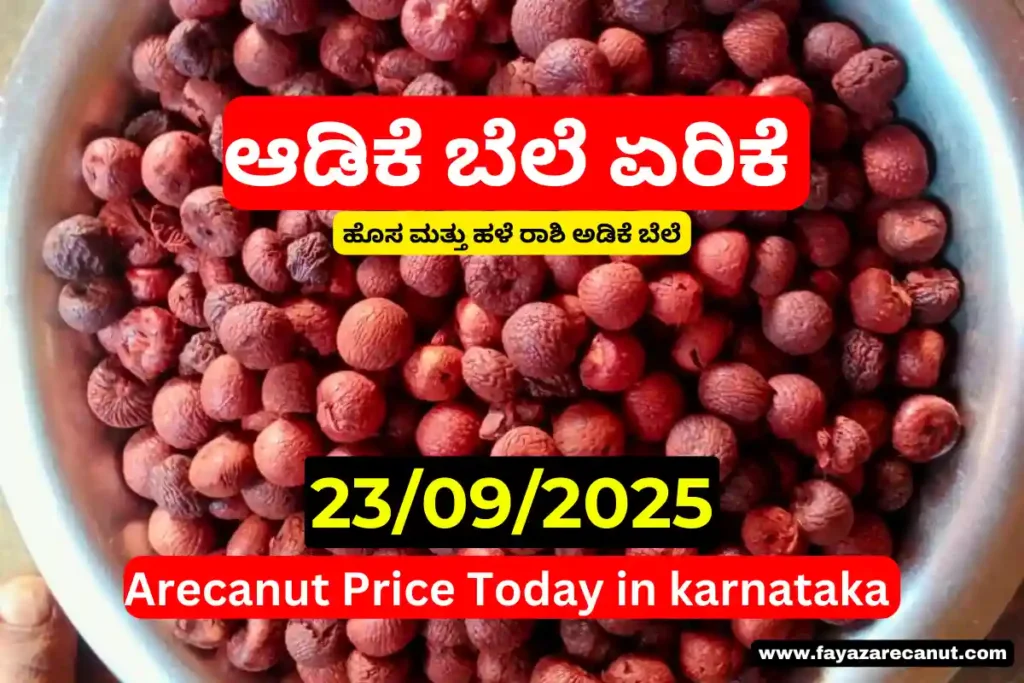 Arecanut Price Today 2