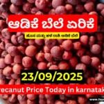 Arecanut Price Today in Karnataka | ಇಂದಿನ ಅಡಿಕೆ ಮಾರುಕಟ್ಟೆ ದರ (23/09/2025) Arecanut Price Today