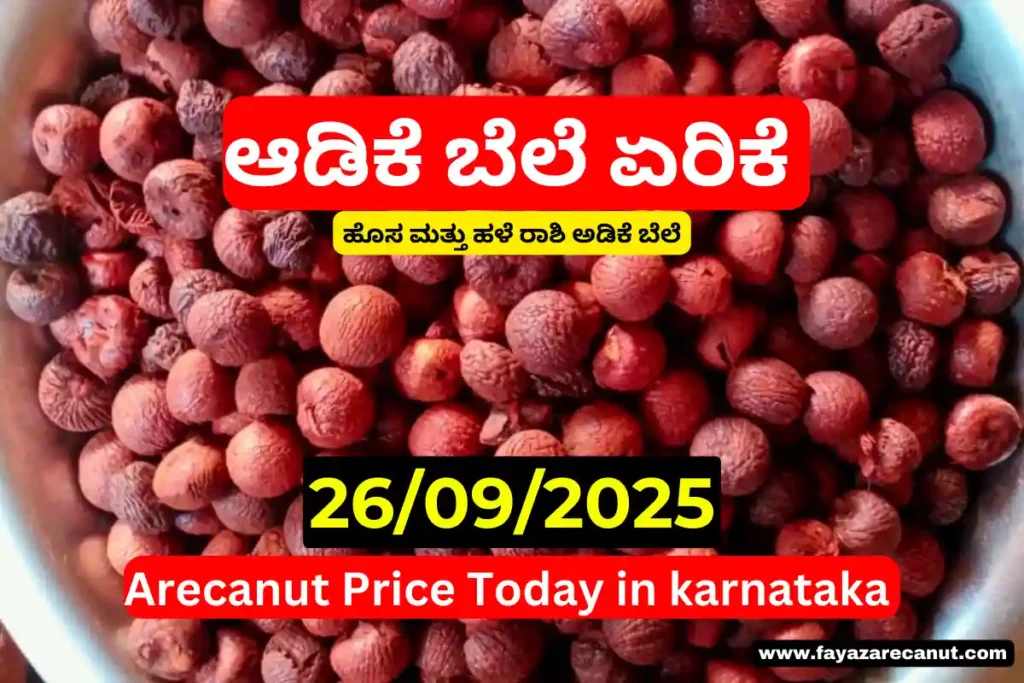 Arecanut Price Today 26 September 2025