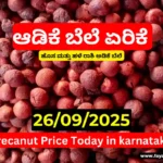 Arecanut Price Today 26 September 2025 | Copra & Davangere Hasi Adike Market Update Arecanut Price Today 26 September 2025