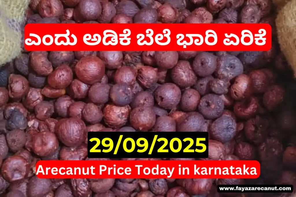 Arecanut Price Today 29 September 2025