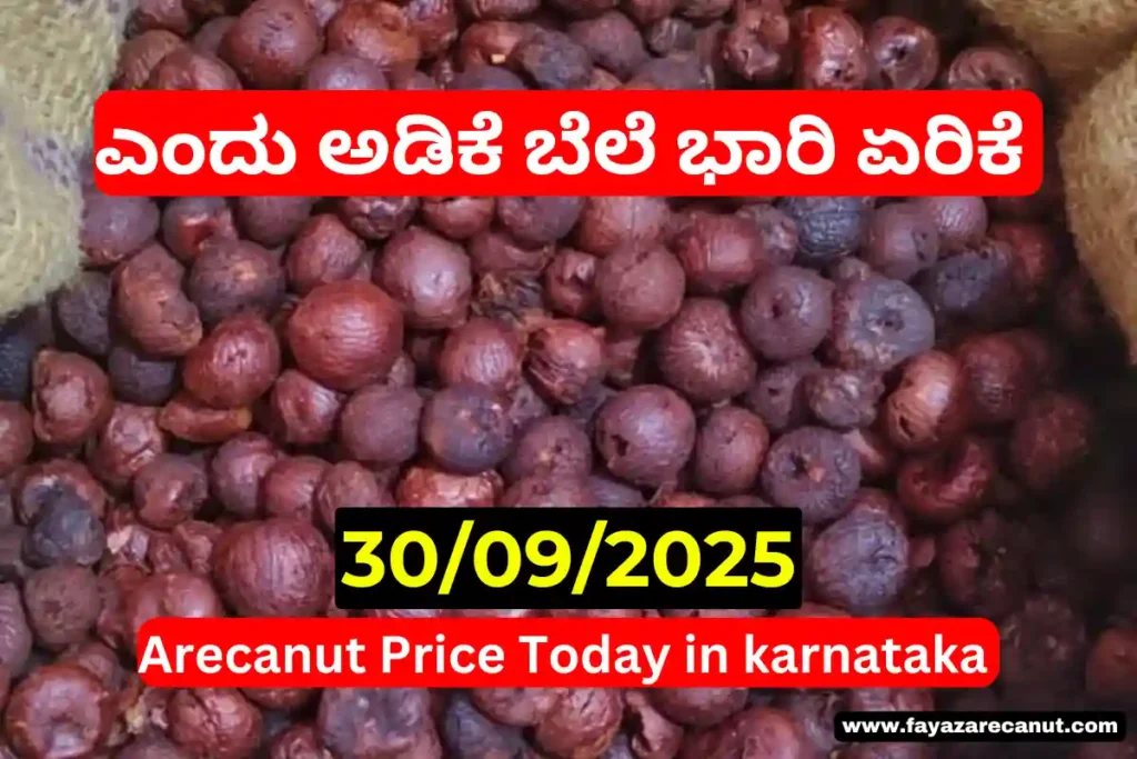 Arecanut Price Today 30 September 2025