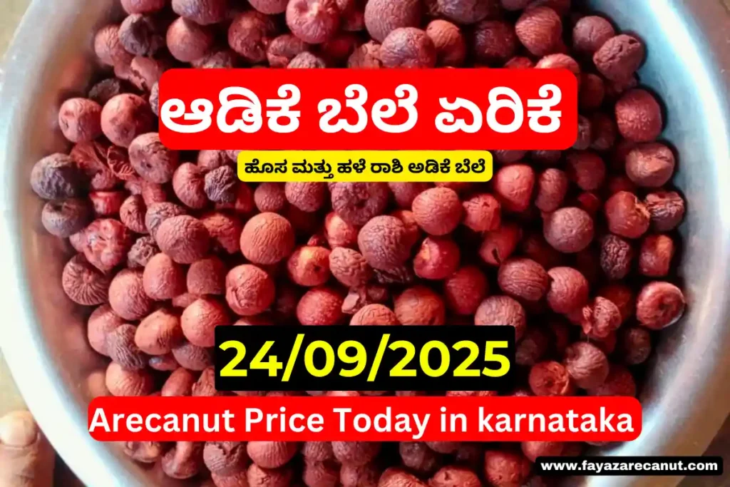Arecanut Price Today in Karnataka