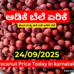 Arecanut Price Today in Karnataka – ಇಂದಿನ ಅಡಿಕೆ ಮಾರುಕಟ್ಟೆ ದರ 24 September 2025 Arecanut Price Today in Karnataka