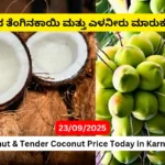 Coconut Tender Coconut Price Today in Karnataka