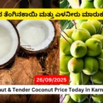Coconut & Tender Coconut Price Today in Karnataka (26 September 2025) | ಇಂದಿನ ತೆಂಗಿನಕಾಯಿ ಮತ್ತು ಎಳನೀರು ದರ Coconut & Tender Coconut Price Today in Karnataka
