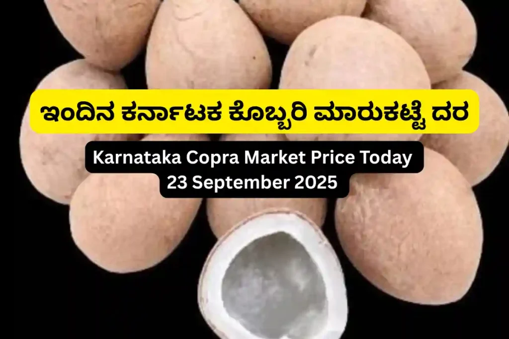 Copra Price