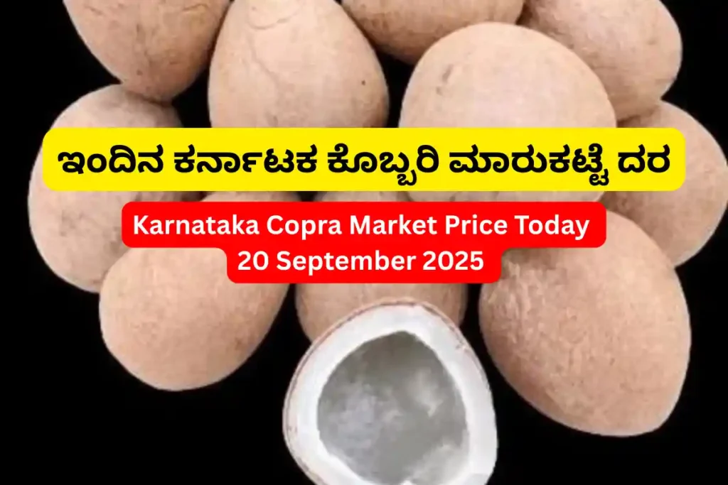 Karnataka Copra Market Price Today 20