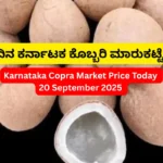 Karnataka Copra Market Price Today 20