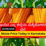 Maize Price Today in Karnataka 22 September 2025__