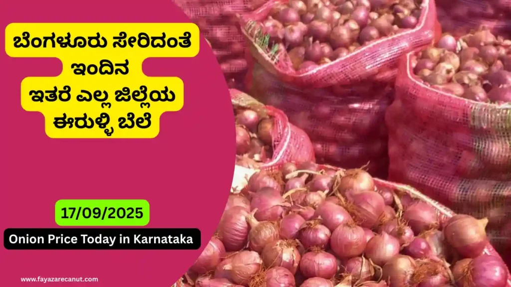 Onion Price Today in Karnataka