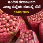 Onion Price Today in Karnataka __