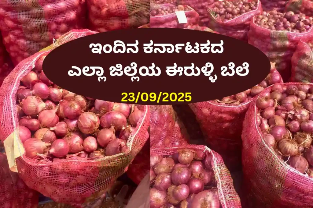 Onion Price Today in Karnataka – 23