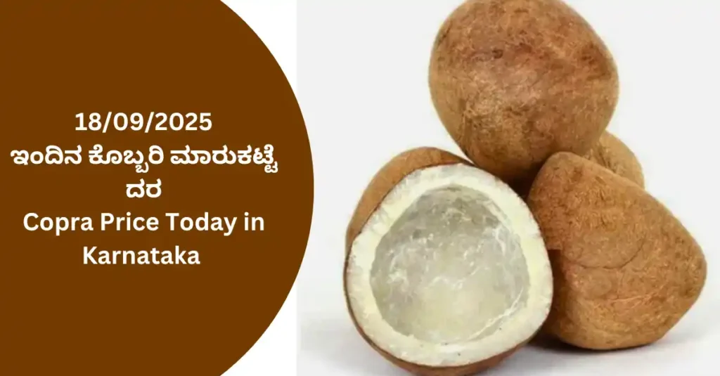Copra Price Today in Karnataka