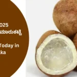 Copra Price Today in Karnataka