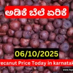 Arecanut & Copra Market Price Today 6 October 2025