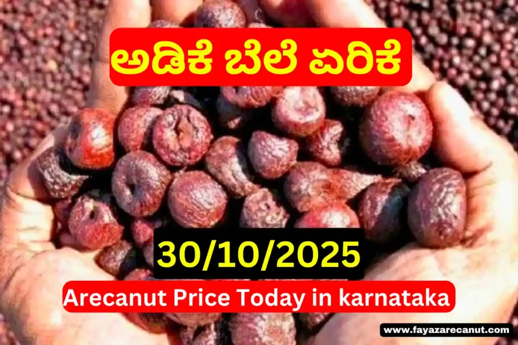 Arecanut Copra Price Today