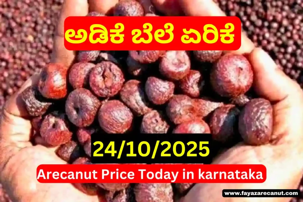 Arecanut Price Today | ಇಂದಿನ ಅಡಿಕೆ ದರ & ಅರಸೀಕೆರೆ ಕೊಬ್ಬರಿ ಟೆಂಡರ್ ವರದಿ – 24 October 2025 5 Arecanut Price