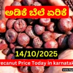 Arecanut Price Today 14 October 2025__