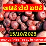 Arecanut Price Today 15/10/2025 | ಇಂದಿನ ಶಿವಮೊಗ್ಗ ಮತ್ತು ಚನ್ನಗಿರಿ ಅಡಿಕೆ ಮಾರುಕಟ್ಟೆ ದರ | Arecanut Market Hike in Karnataka Arecanut Price Today 15 10 2025