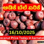 Arecanut Price Today 1610 2025