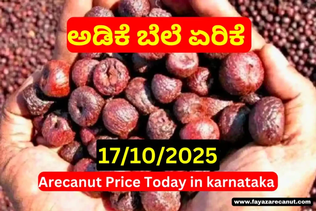 Arecanut Price Today 17/10/2025 | ಇಂದಿನ ಅಡಿಕೆ ದರ & ಅರಸೀಕೆರೆ ಕೊಬ್ಬರಿ ಟೆಂಡರ್ ವರದಿ | Karnataka Market Update 10 Arecanut Price Today 17 10 2025