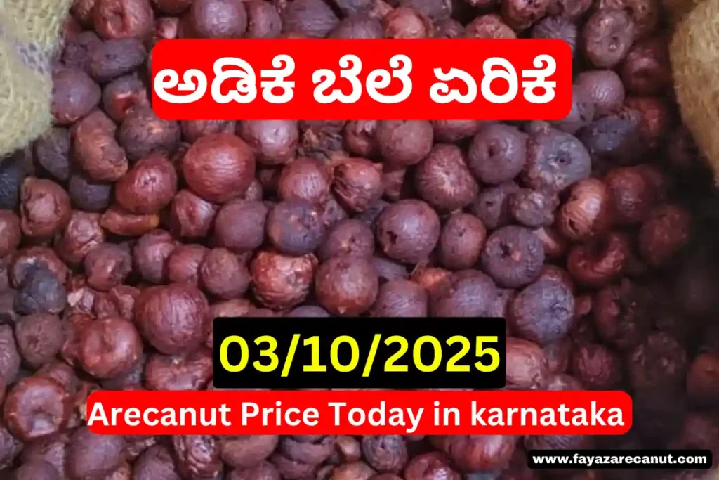 Arecanut Price Today 3 October 2025