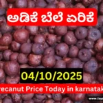 Arecanut Price Today 4 October 2025