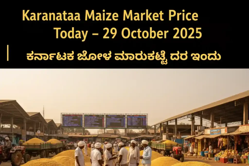 Karnataka Maize Market Price Today – 29 October 2025 | ಕರ್ನಾಟಕ ಜೋಳ ಮಾರುಕಟ್ಟೆ ದರ ಇಂದು 1 Karnataka Maize Market Price Today
